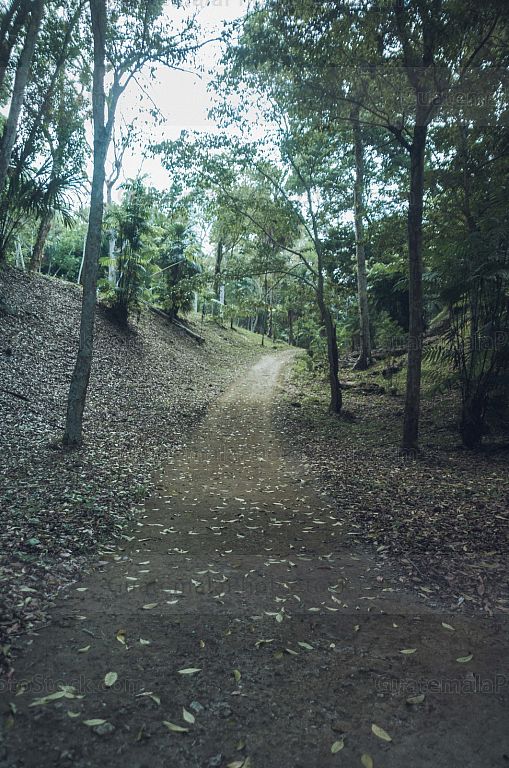 Calzadas y senderos de Yaxhá