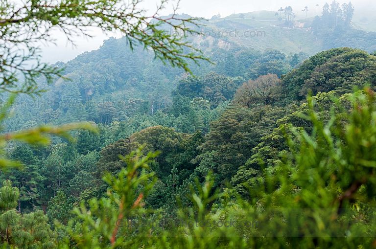 Montaña de Jalapa
