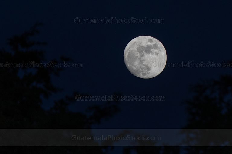 Luna llena