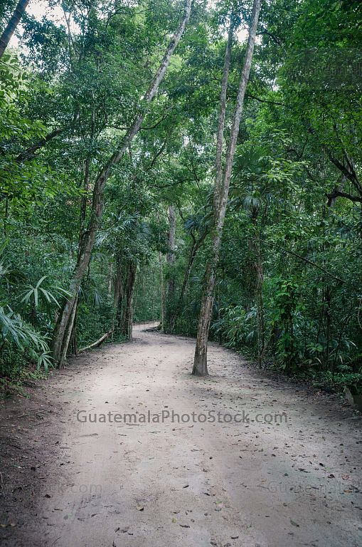 Sendero del Parque Nacional de Tikal