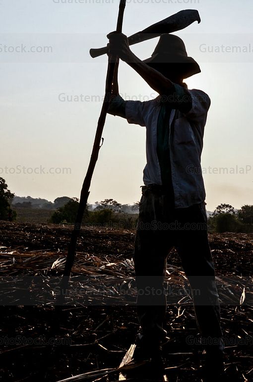 Silueta de agricultor