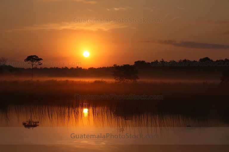 Amanecer en las tierras bajas de Petén