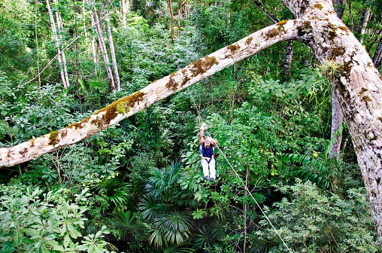 Canopy en Parque Nacional Tikal