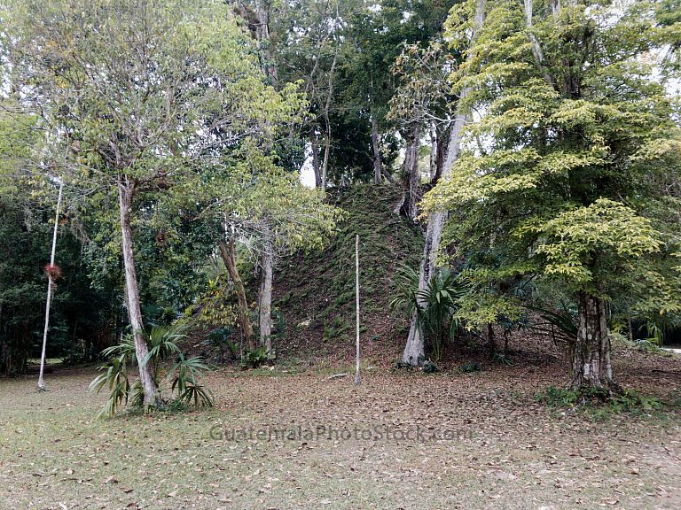 Naturaleza en Parque Nacional Tikal, Petén