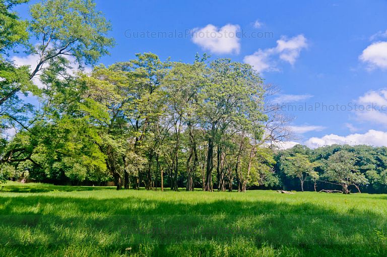 Paisaje del autosafari