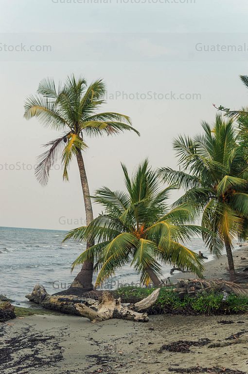 Playa Quehueche