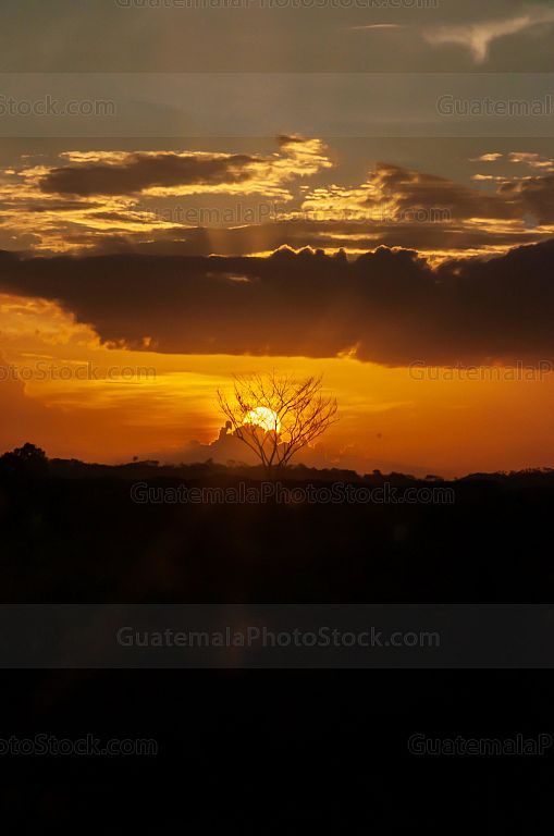 Atardecer en las tierras planas de Petén