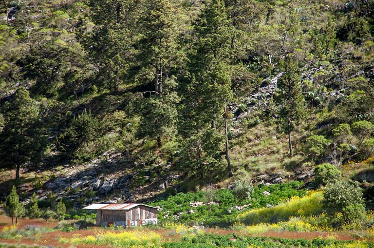 Sierra de los Cuchumatanes, Huehuetenango