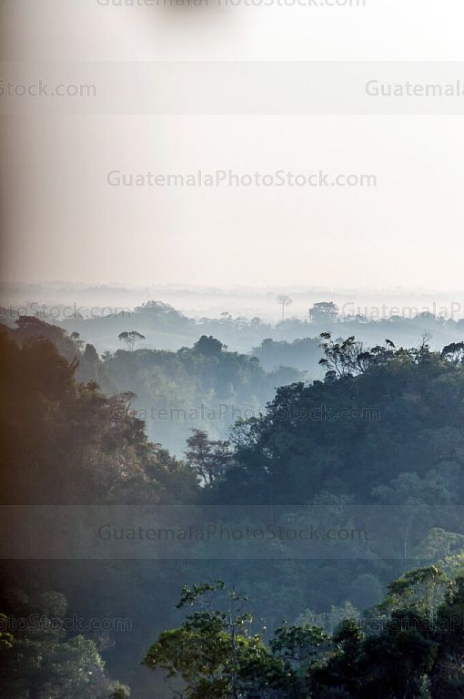 Amanecer sobre las tierras planas de Alta Verapaz y Petén