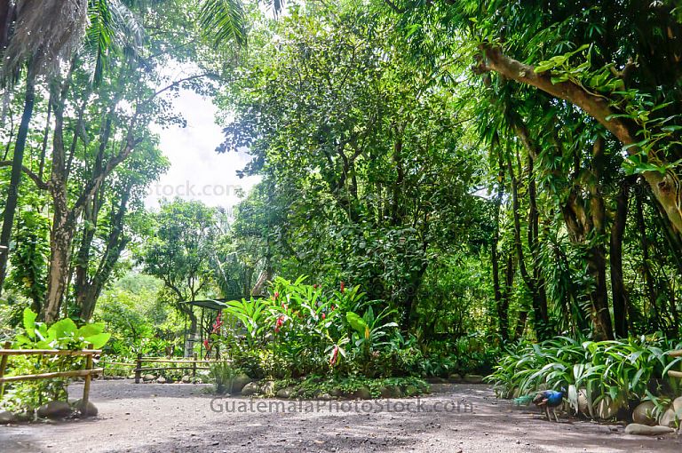 Área de zoológico en Autosafari