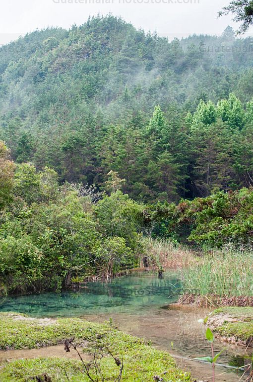 Río afluente de Laguna Brava