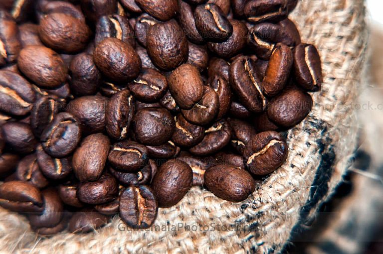 Granos de café tostado en saco