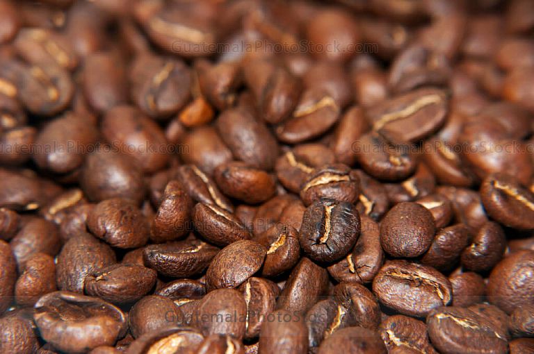 Granos de café tostado