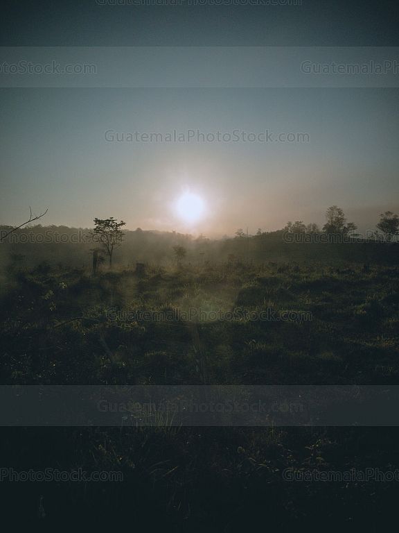 Amanecer en las tierras bajas del Petén