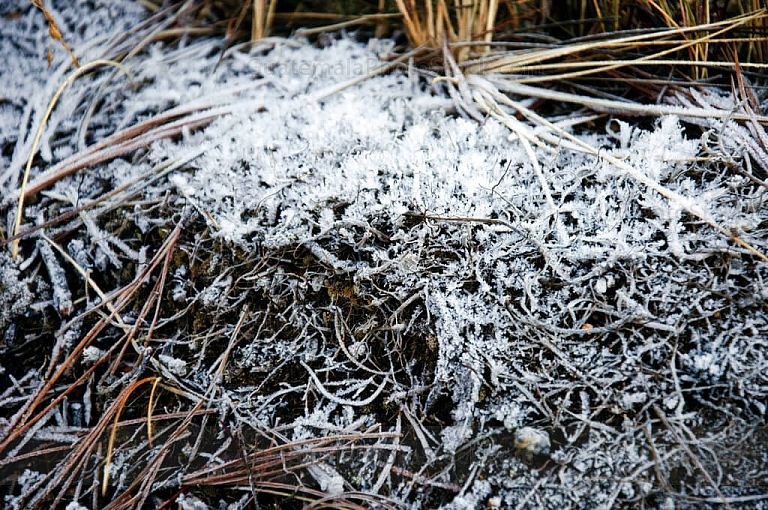 Escarcha de hielo en el crater del Volcán de Agua