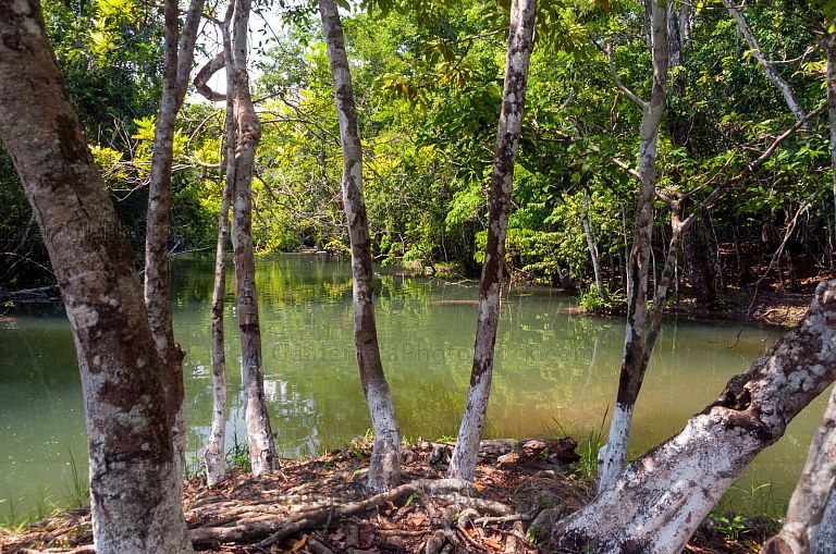 Parque Ecológico La Cascada