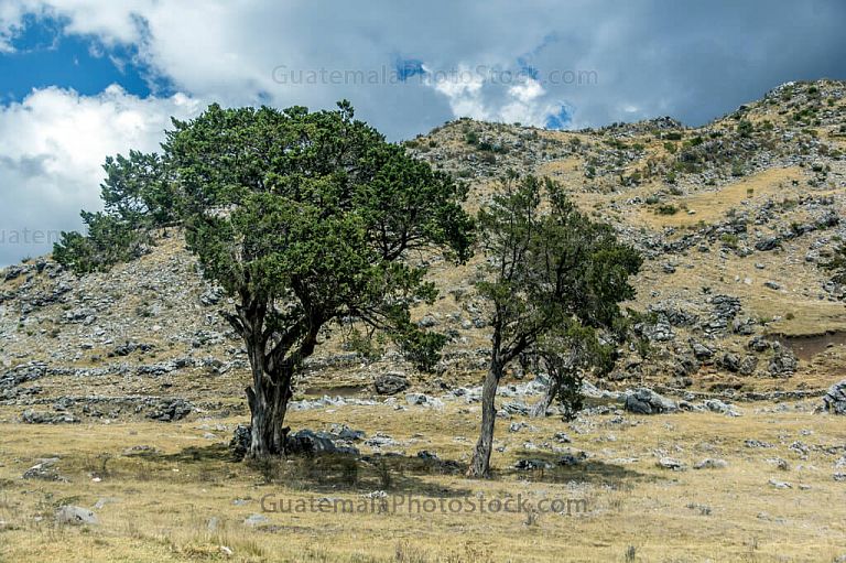 Paisaje rocoso en la cumbre de la Sierra de los Cuchumatanes