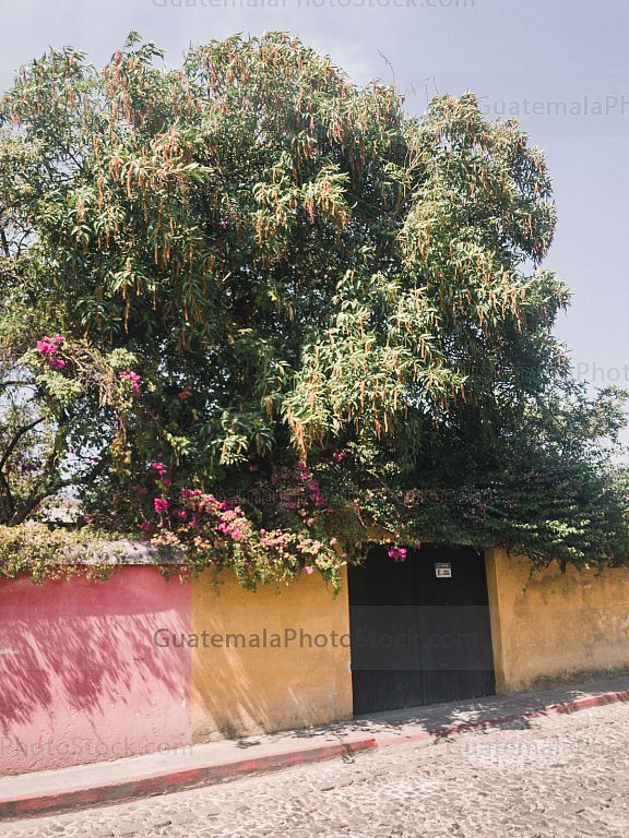 Antigua Guatemala, Sacatepéquez