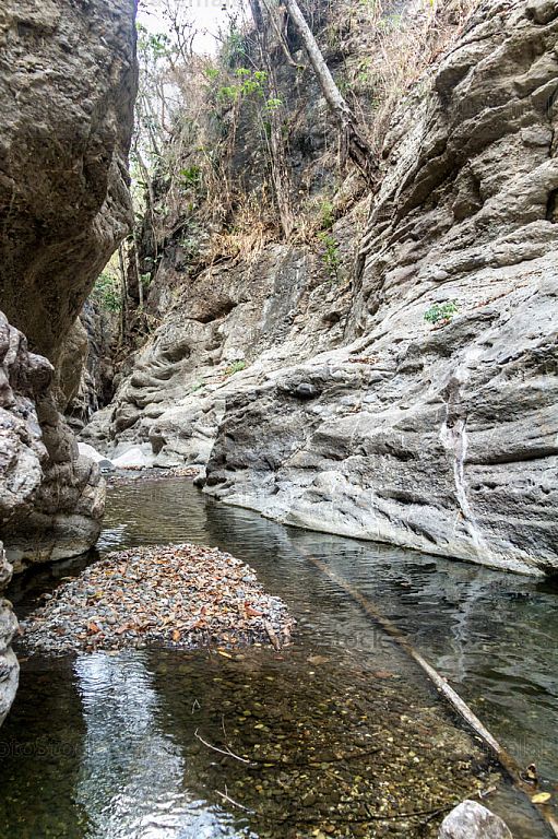 Cañon
