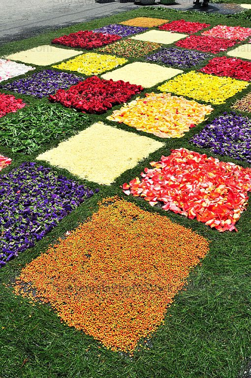 Alfombra de aserrín y flores