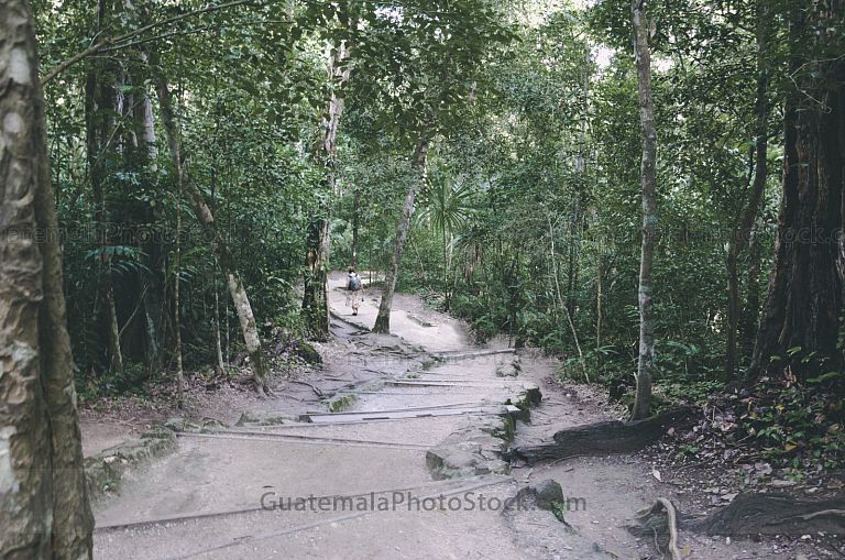 Sendero en Tikal