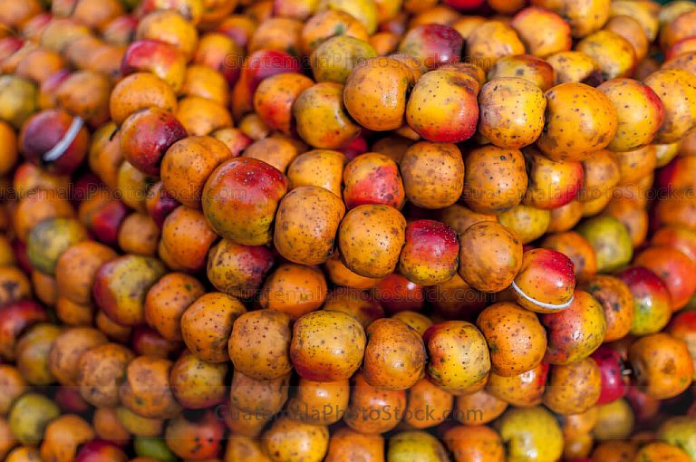 Manzanilla
