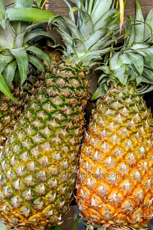 Piñas