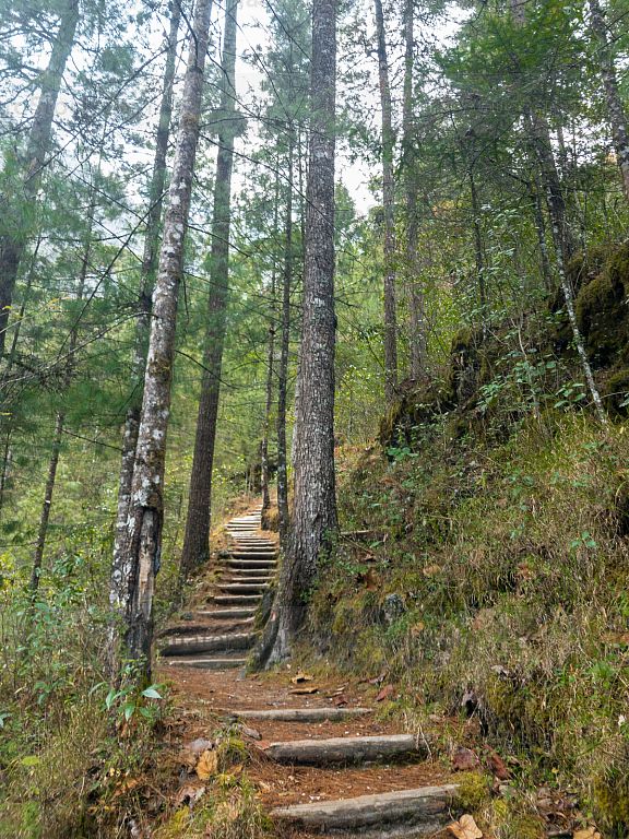Sendero ecológico de la Maceta