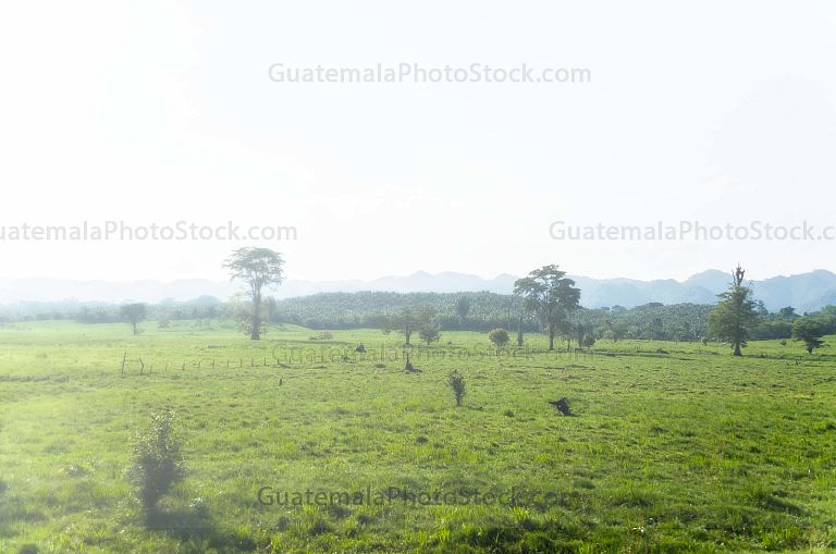 Amanecer en las tierras bajas de Petén
