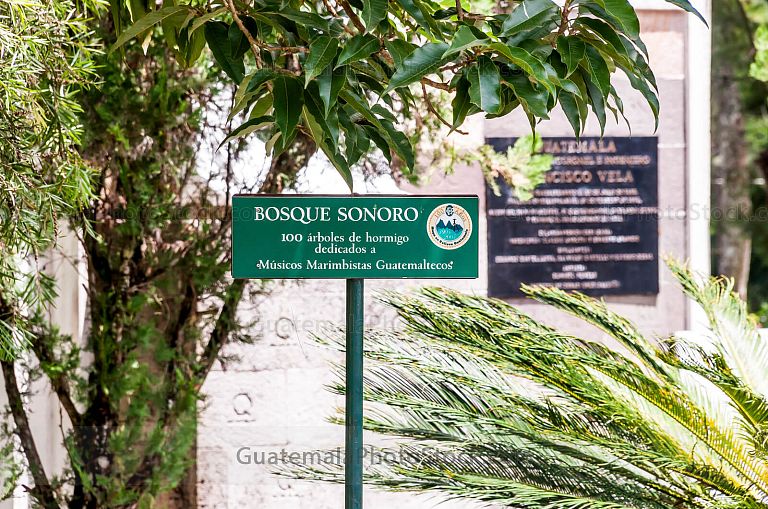 Bosque sonoro