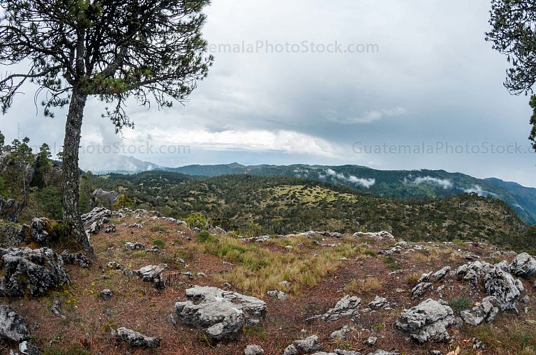 Mirador La Torre
