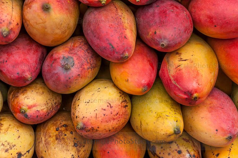 Mango pico de loro