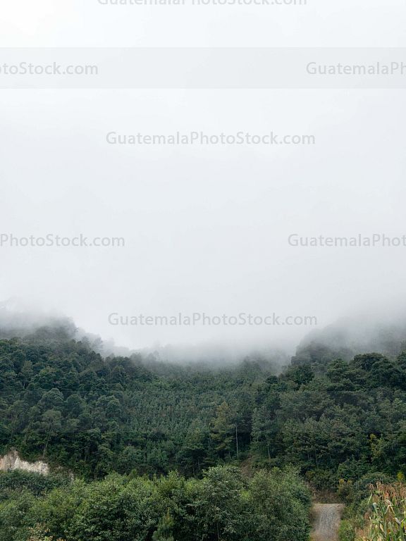 Montaña Nubosa