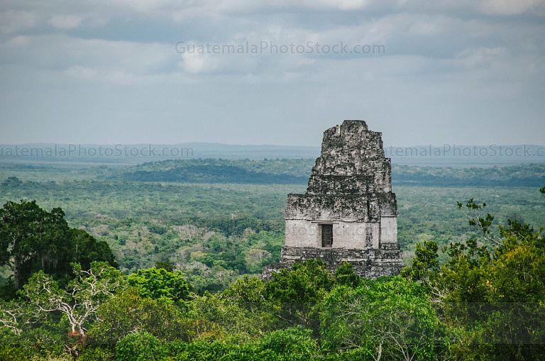 Templo I de Tikal, Gran Jaguar, Tikal