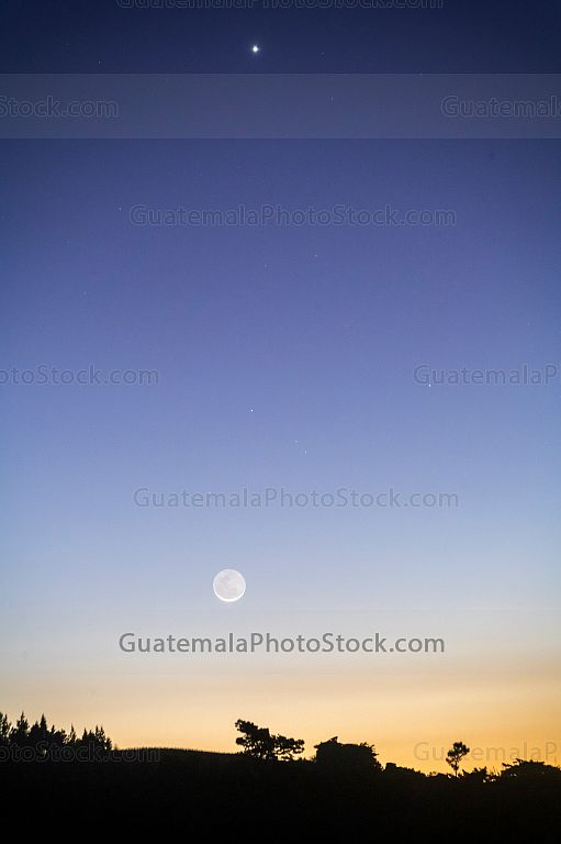 Luna Nueva