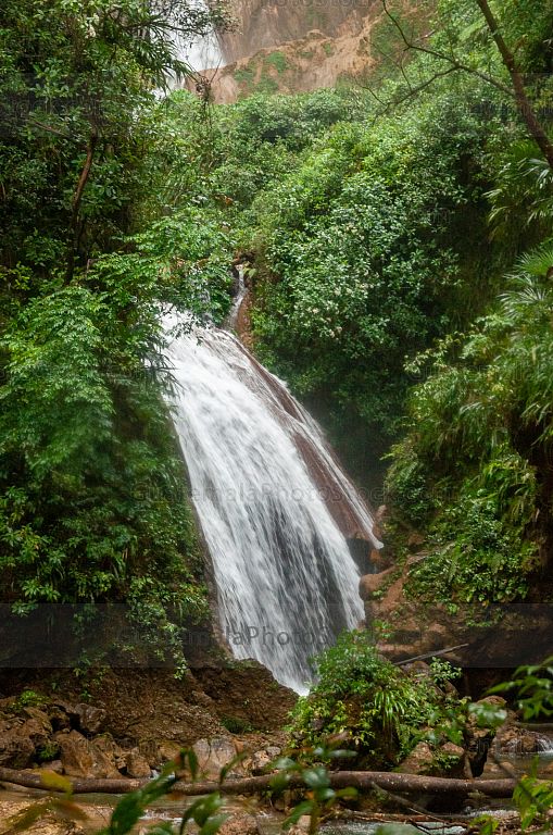 Bosque Nuboso Tropical Huehuetenango