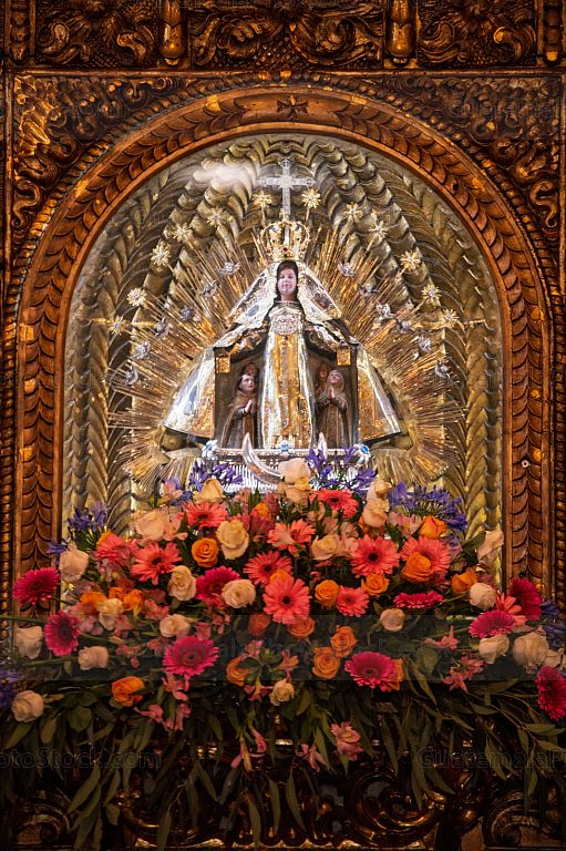 Imagen de la Virgen del Carmen