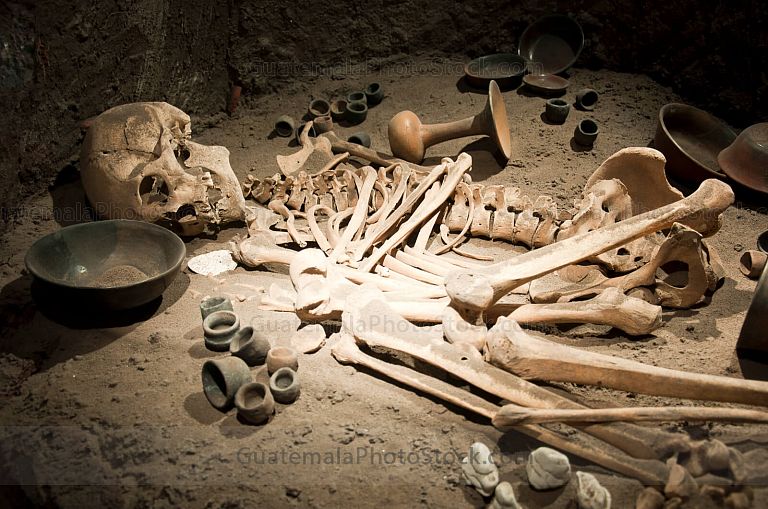 Osamentas del sistema funerario del Templo de Quetzalcoat