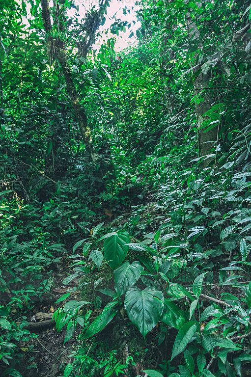 Naturaleza