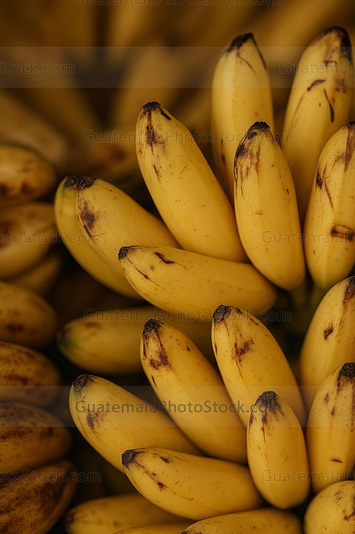 Bananos