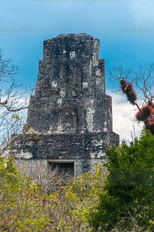 Cresteria Templo III, Tikal