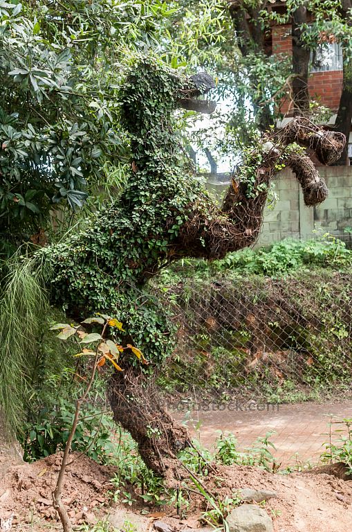 Corcel de naturaleza y alambre