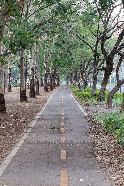 Avenida Las Americas, Zona 14