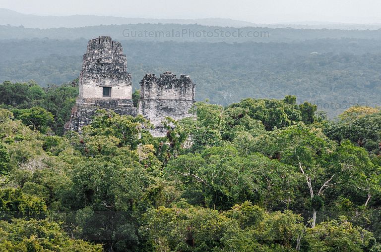 Tikal