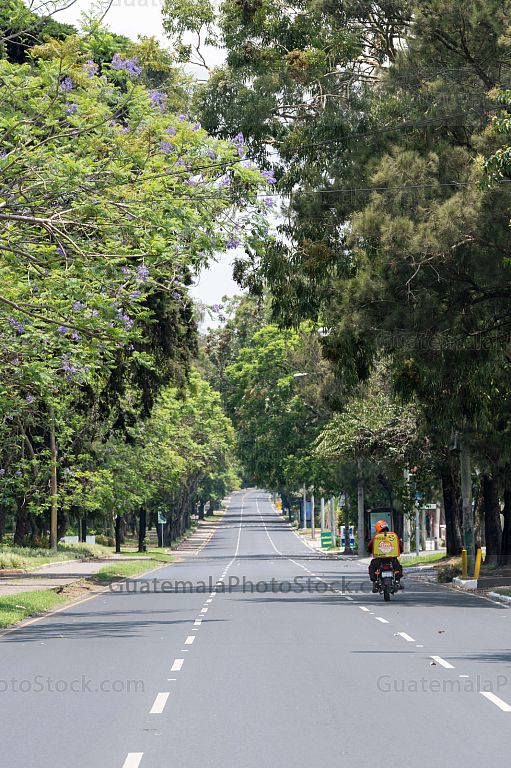 Las Americas, Zona 14