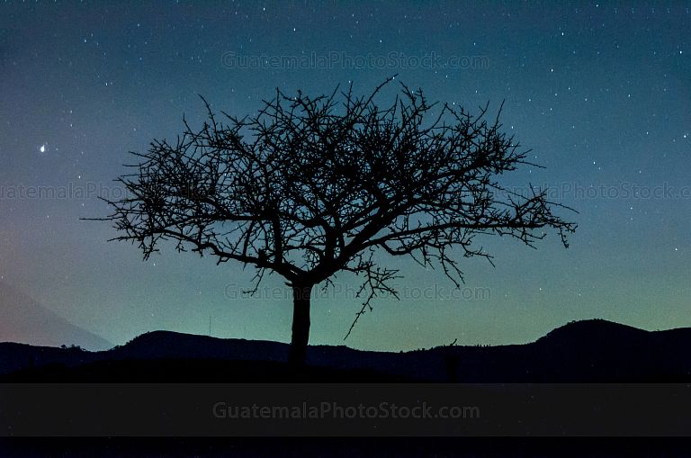 Paisaje entre estrellas