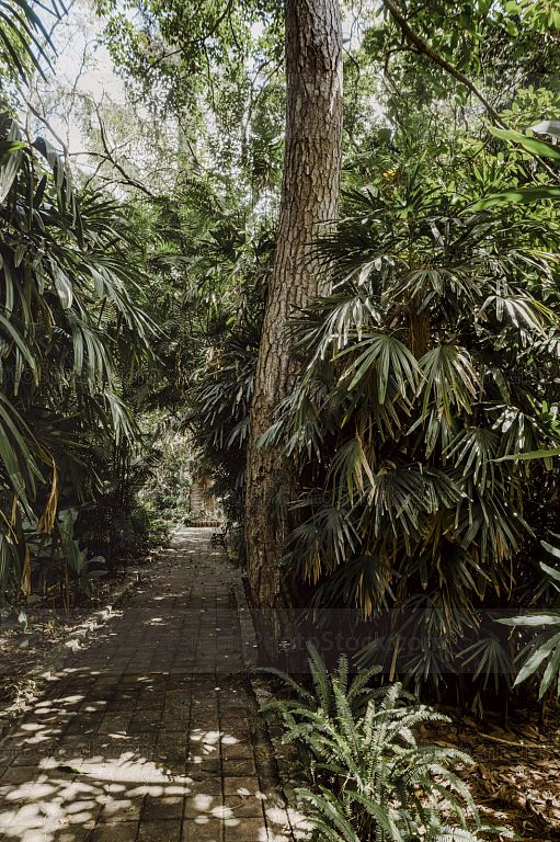 Sendero en el Jardín Botanico