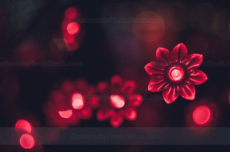 Luces de fin de año