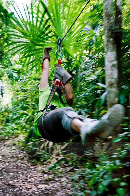 Canopy en Parque Nacional Tikal