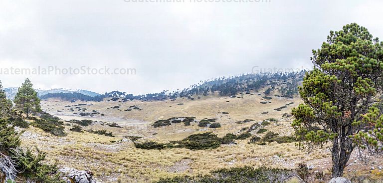 Panorama: Parque Regional de Todos Santos Cuchumatán